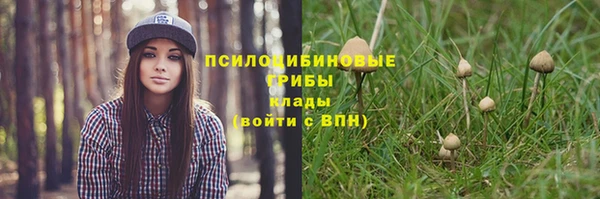 дмт Алексеевка